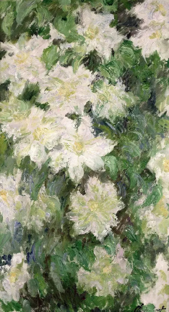 Valkoiset köynnöskrassit - Claude Monet