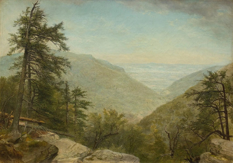 Kaaterskillin neilikka - Asher Brown Durand