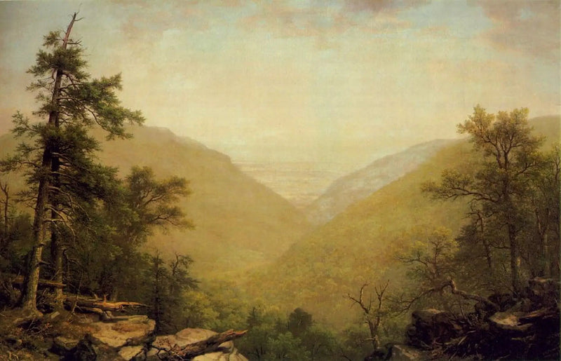 Kaaterskillin neilikka - Asher Brown Durand