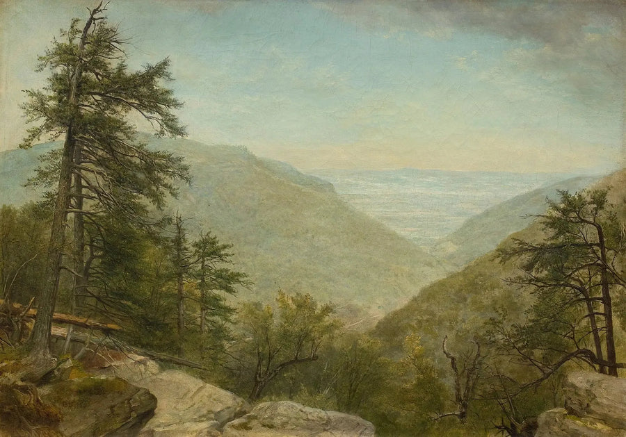 Kaaterskillin neilikka - Asher Brown Durand