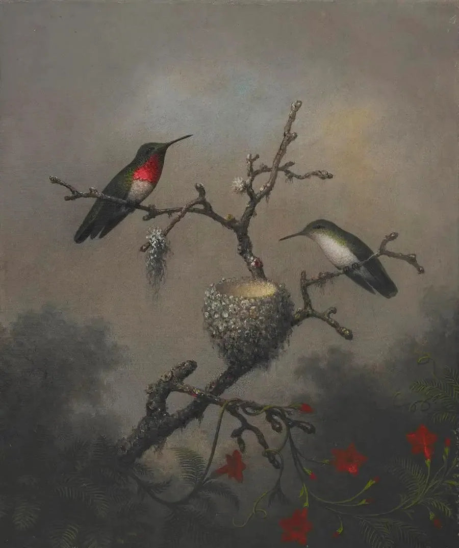 Ruby-throated Hummingbird - Martin Johnson Heade