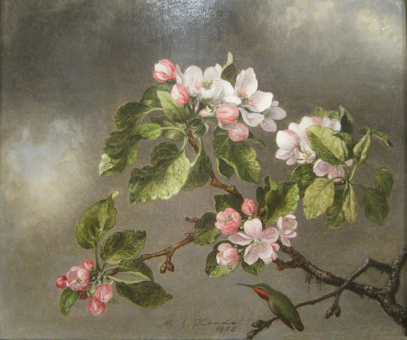 Colibri ja omenapuun kukat - Martin Johnson Heade