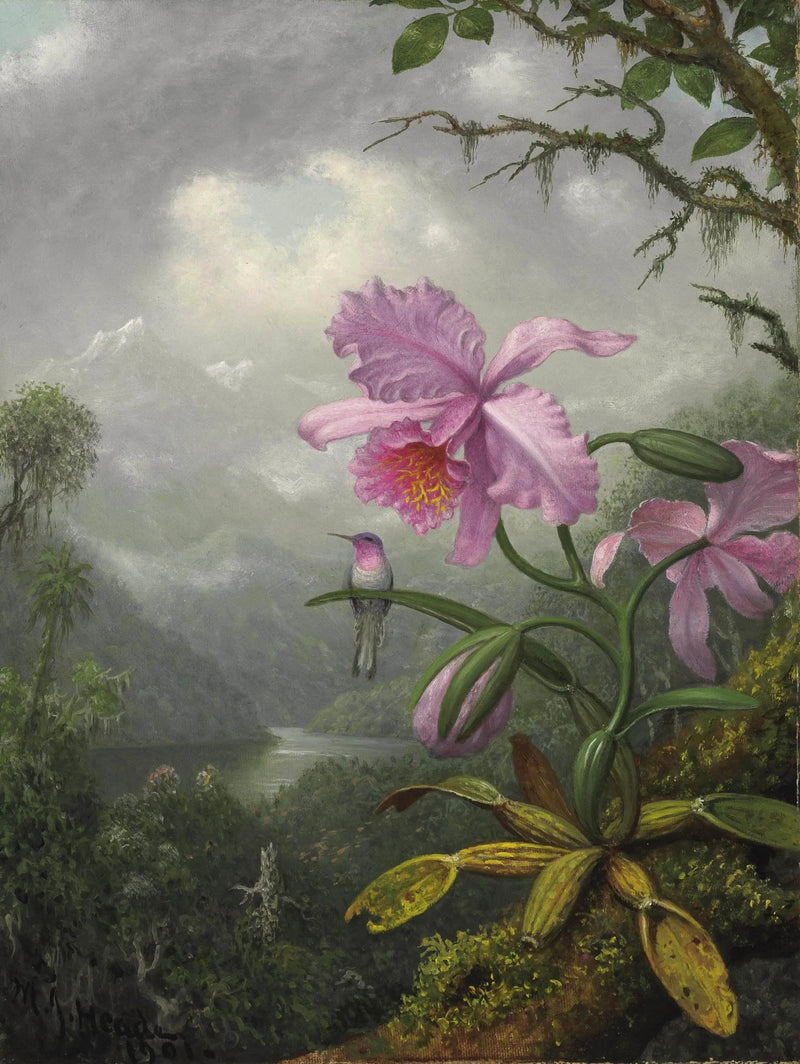Colibri perhonen orkidean kasvissa - Martin Johnson Heade