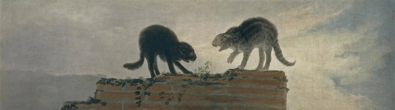 Kissatappelut - Francisco de Goya