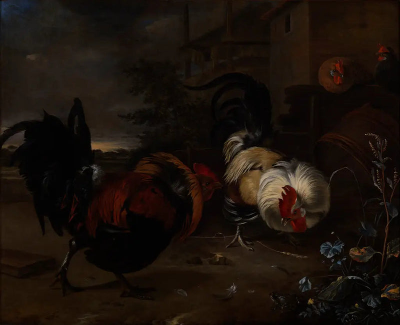 Kukkojen taistelu - Melchior de Hondecoeter