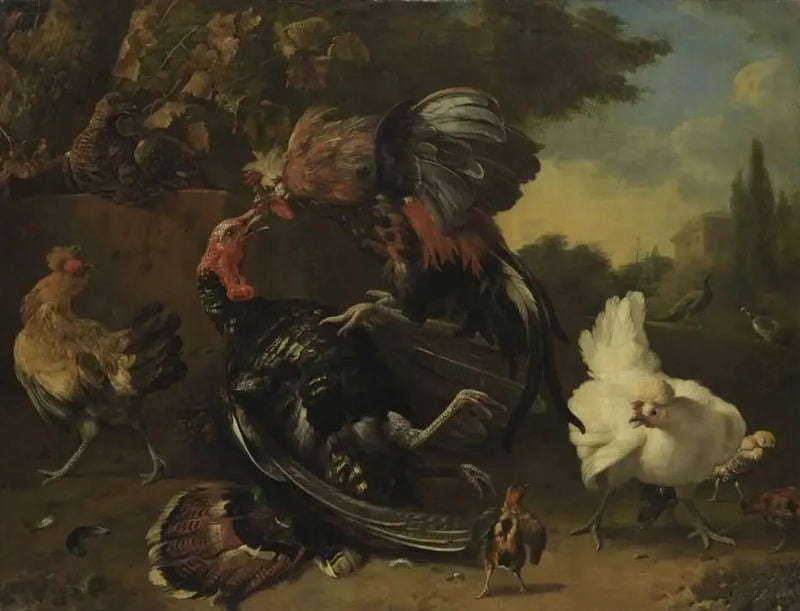 Taistelu kukon ja kalkkunan välillä - Melchior de Hondecoeter