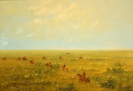 Välittää pampassa villieläimille - Connibo - George Catlin