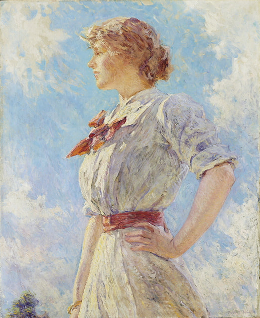 Taivasta vasten - Robert Lewis Reid