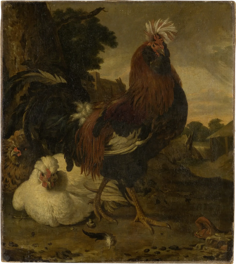 Kukko maatilassa - Melchior de Hondecoeter