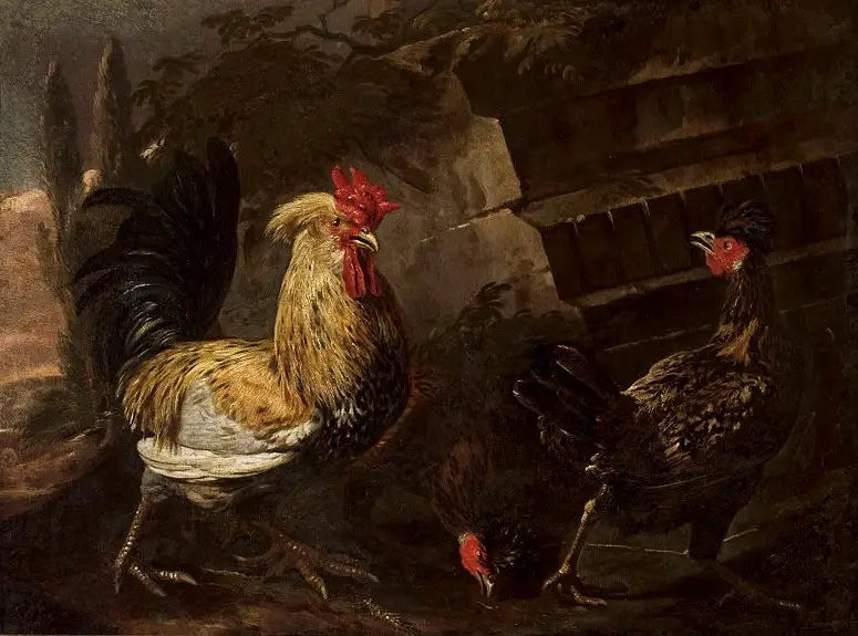 Kukko ja kanat. - Melchior de Hondecoeter