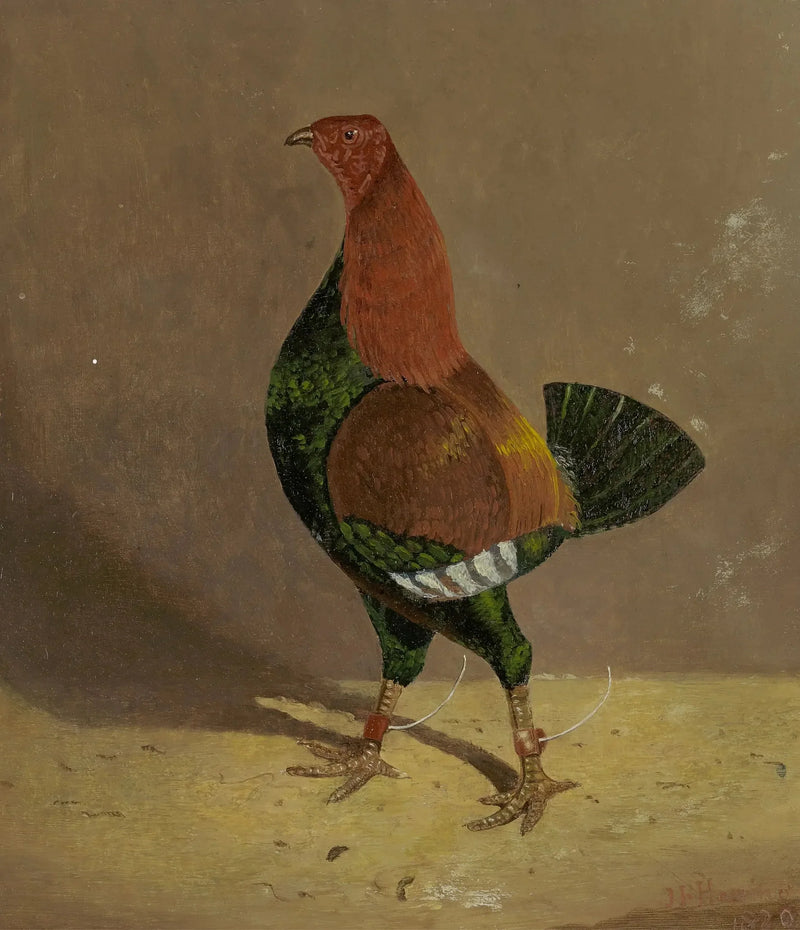 Taistelukukko: taistelukukko tummalla rinnalla, kääntynyt vasemmalle - John Frederick Herring, Sr.