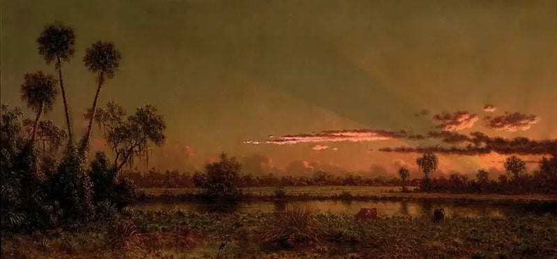 Trooppinen auringonlasku: Floridan suot - Martin Johnson Heade