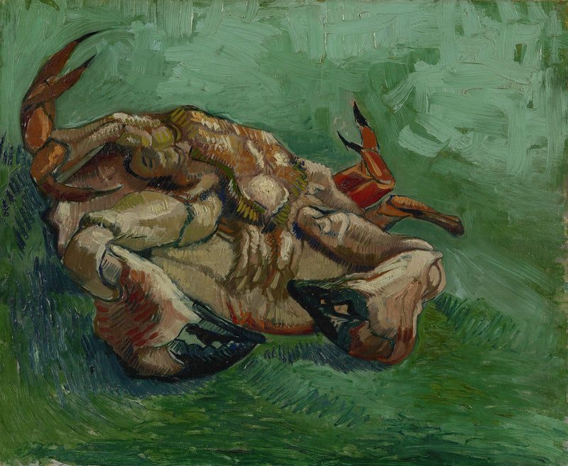 Rapu, selällään - Vincent van Gogh