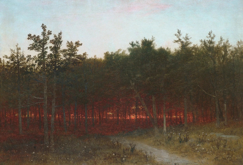 Auringonlasku sypressien keskellä Darienissä, Connecticut - John Frederick Kensett