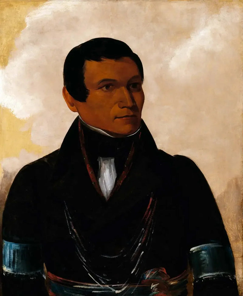 Cú-sick, johtajan poika - George Catlin