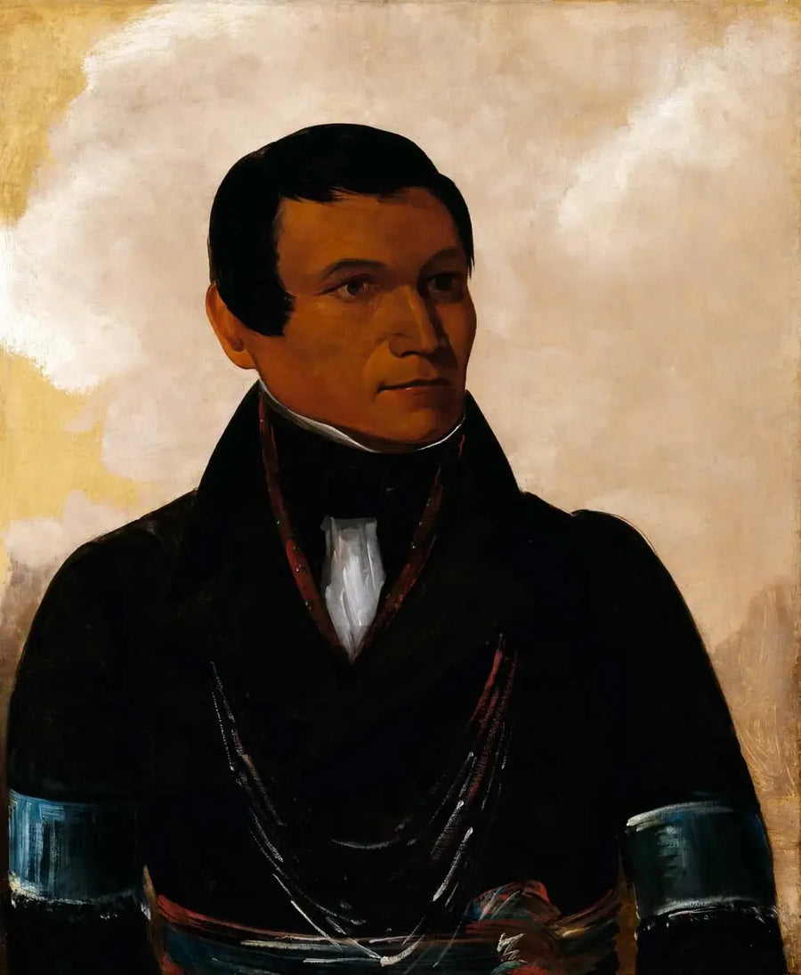 Cú-sick, johtajan poika - George Catlin