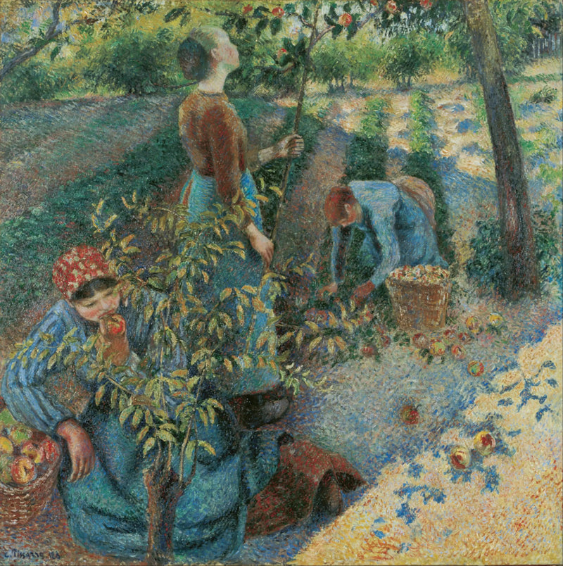 Omenanpoiminta - Camille Pissarro