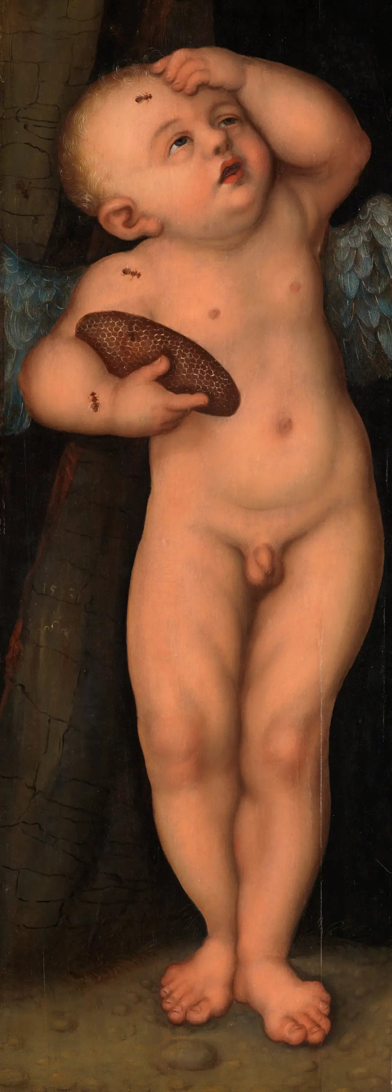 Cupidoni kuin hunajamiehen varas - Lucas Cranach vanhempi