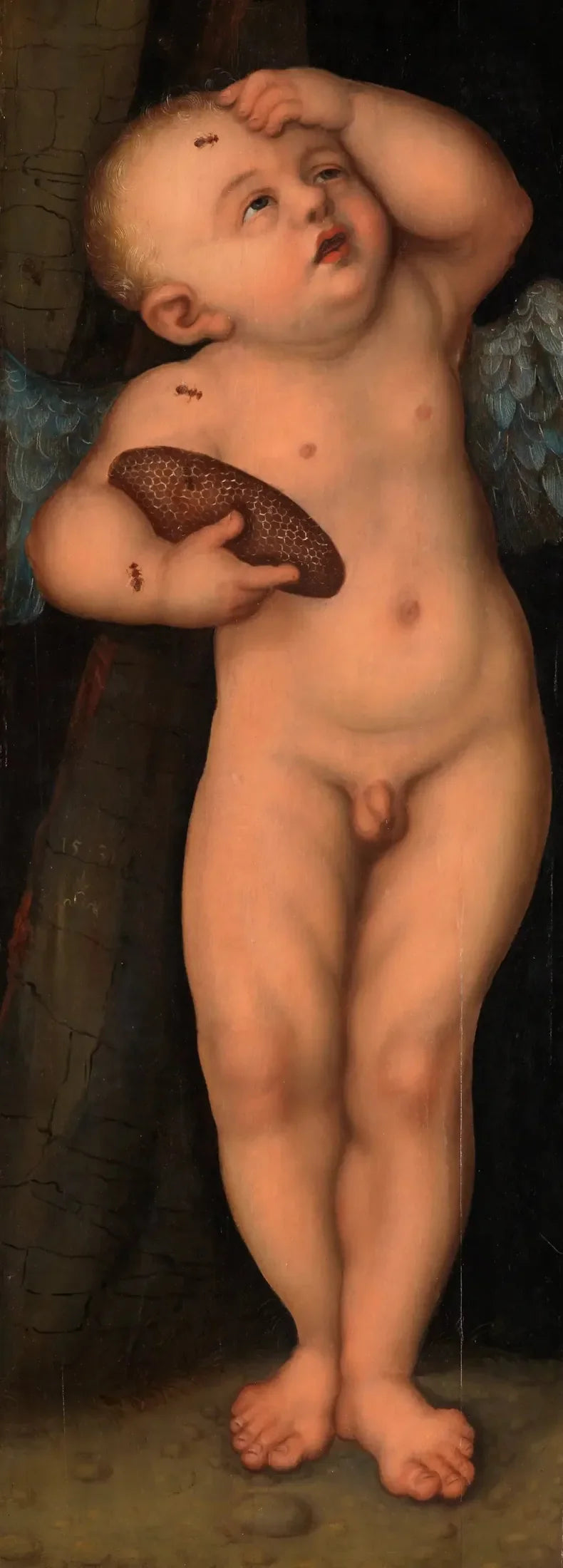 Cupidoni kuin hunajamiehen varas - Lucas Cranach vanhempi