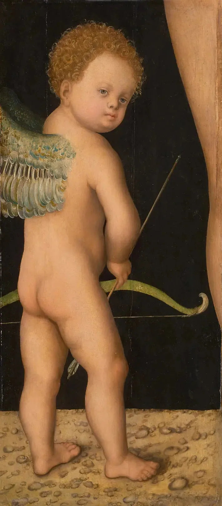Cupidón - Lucas Cranach vanhempi