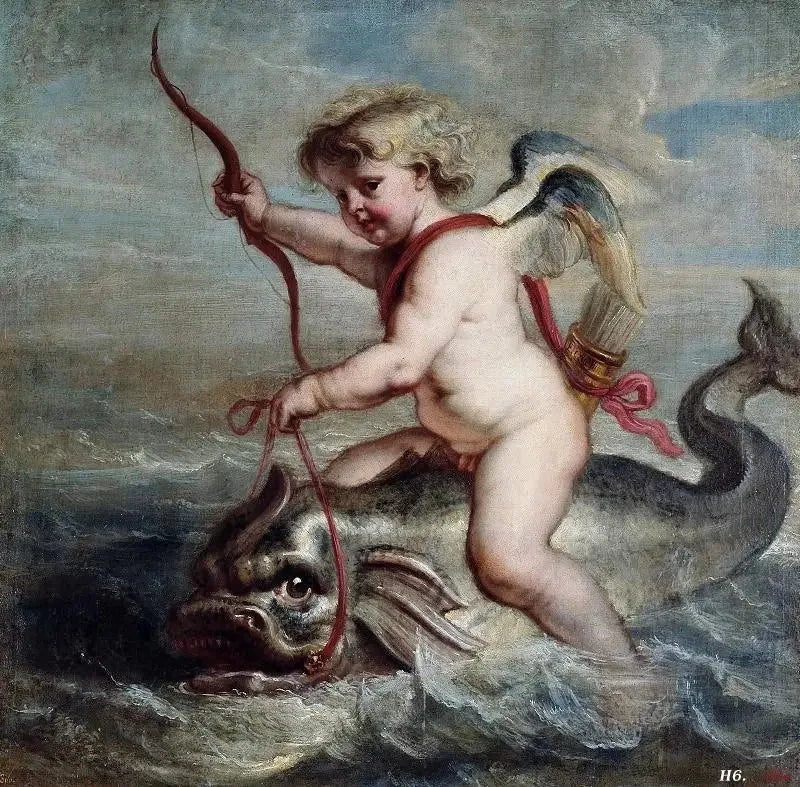 Cupid sur un dauphin - Peter Paul Rubens