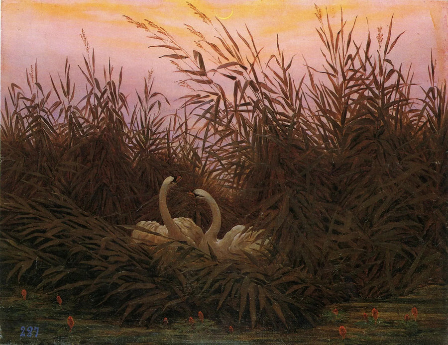 Joutsenet ruokoissa ensimmäisen aamun valossa - Caspar David Friedrich