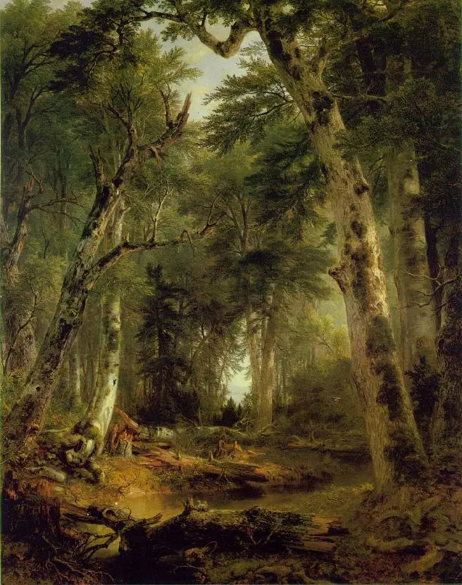 Metsissä - Asher Brown Durand