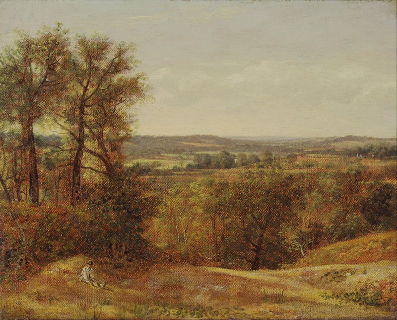 Dedhamin laakso - John Constable