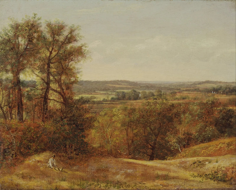 Dedhamin laakso - John Constable
