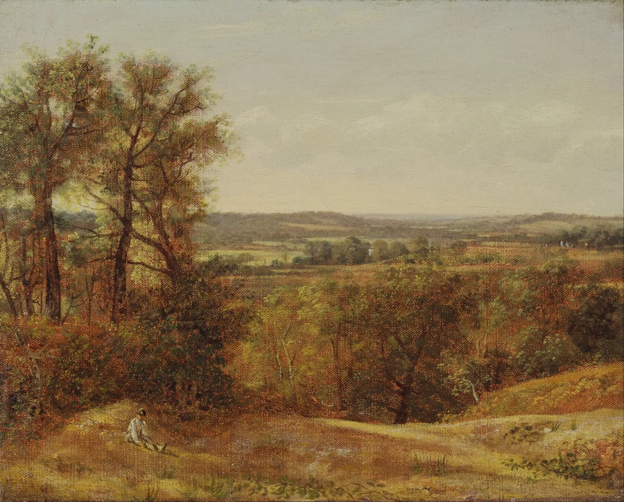 Dedhamin laakso - John Constable