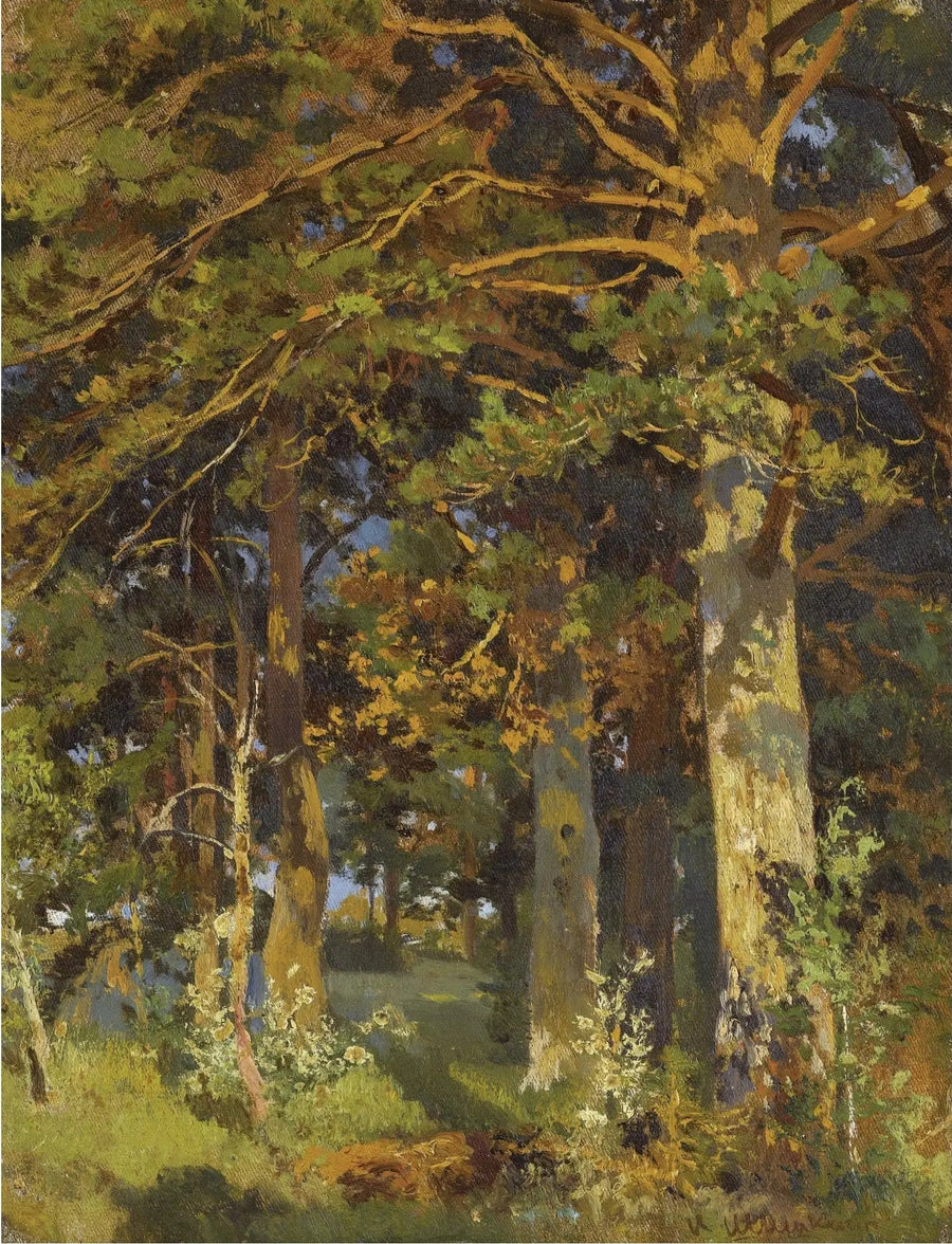 Metsänraivaus - Ivan Chichkine