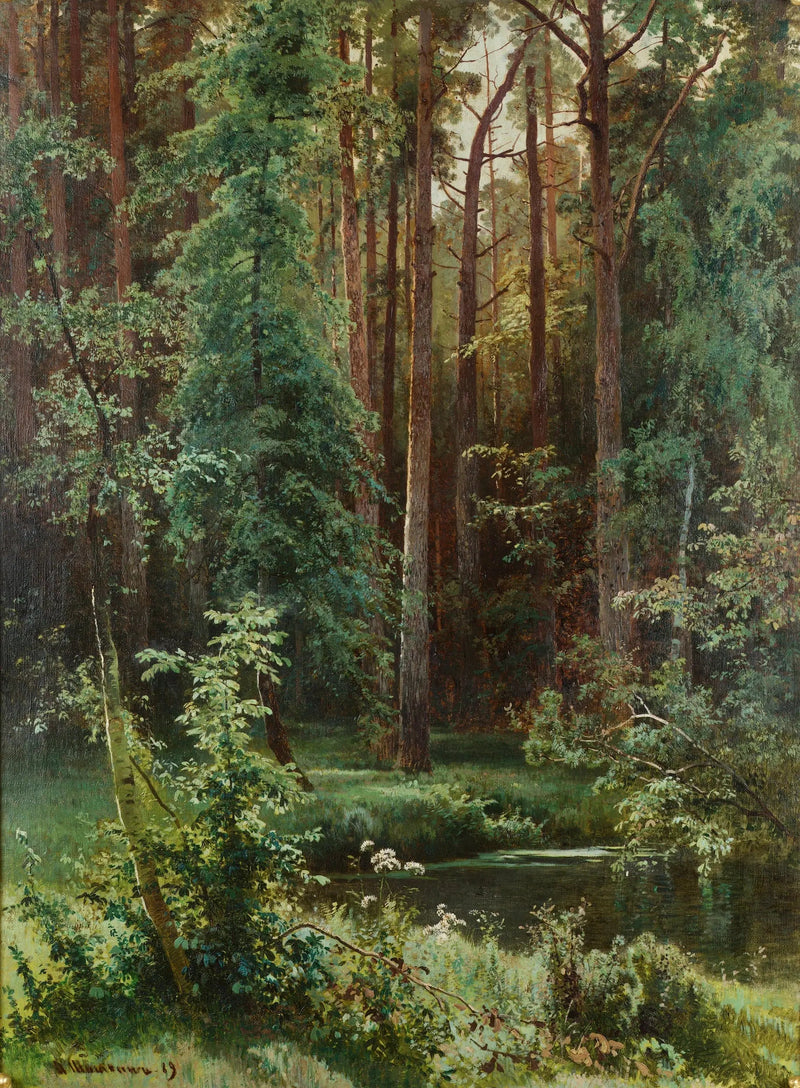 Puuta - Ivan Chichkine