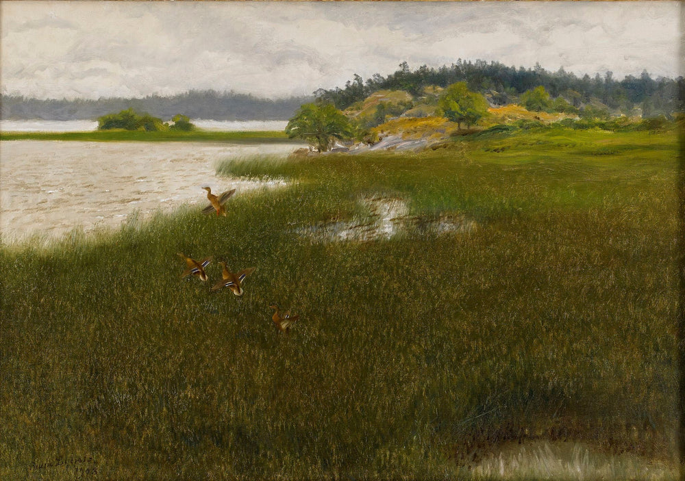 Ankat lähtevät - Bruno Liljefors