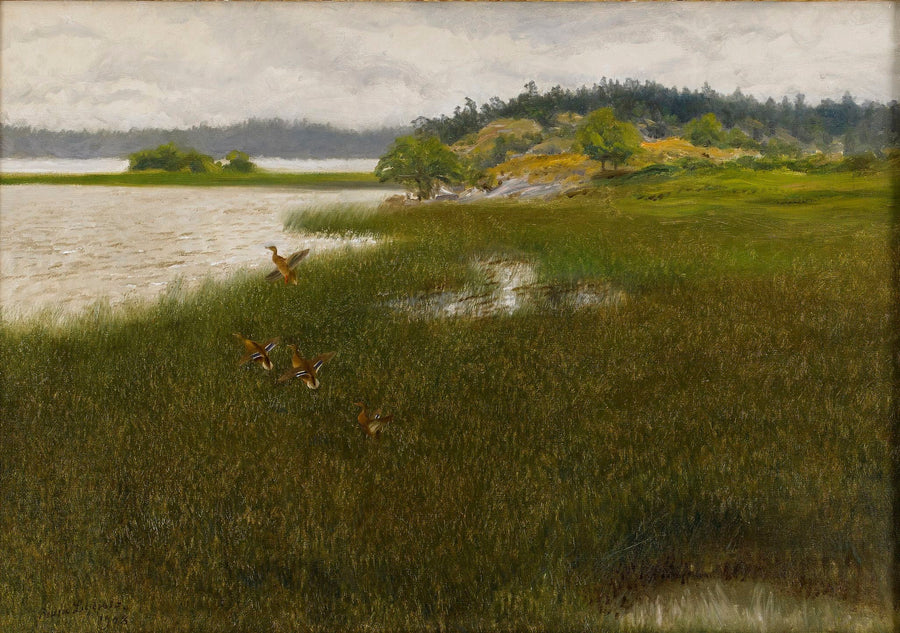 Ankat lähtevät - Bruno Liljefors