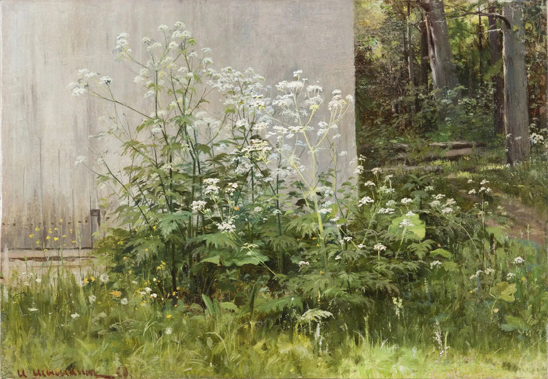 Kukkia aidan äärellä - Ivan Chichkine