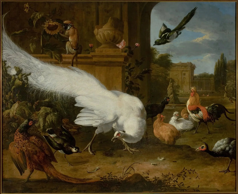 Siipikarjaa ja valkoinen peacock - Melchior de Hondecoeter
