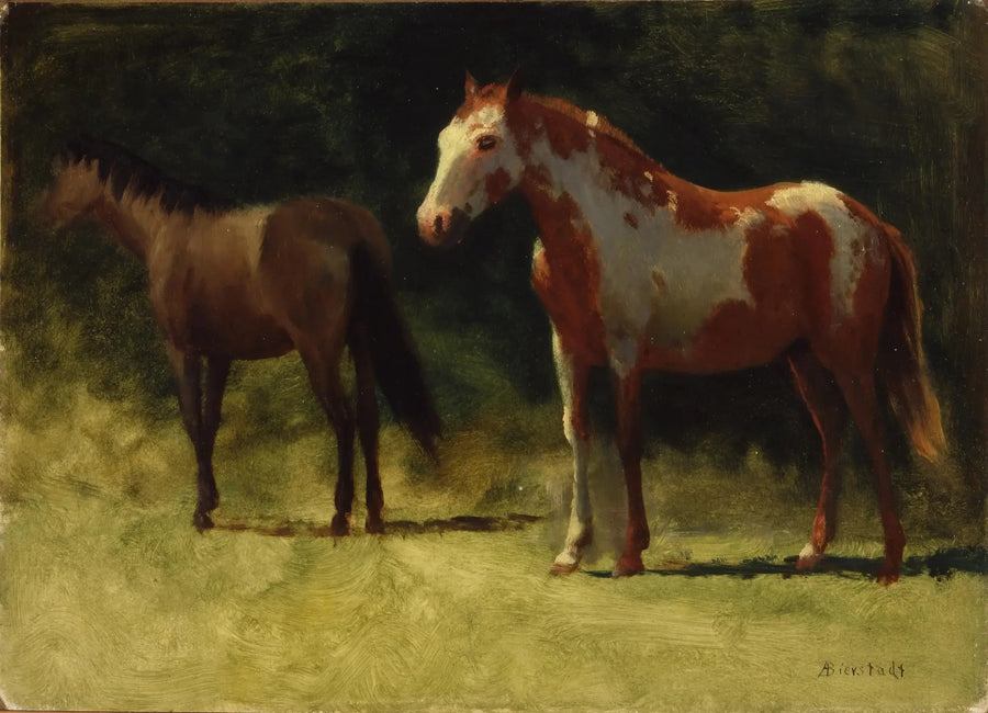 Kaksi hevosia - Albert Bierstadt