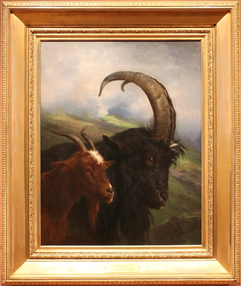 Kaksi vuohta - Rosa Bonheur