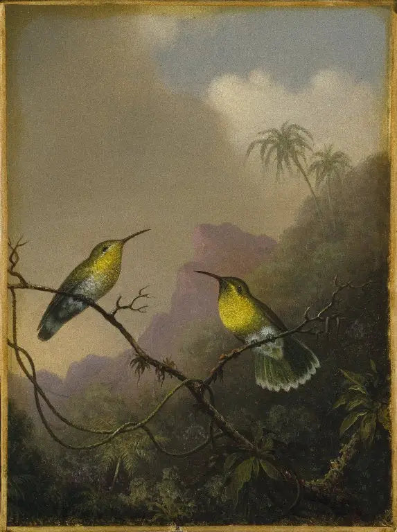 Kaksi kolibrista: kuparinvärinen amazili - Martin Johnson Heade