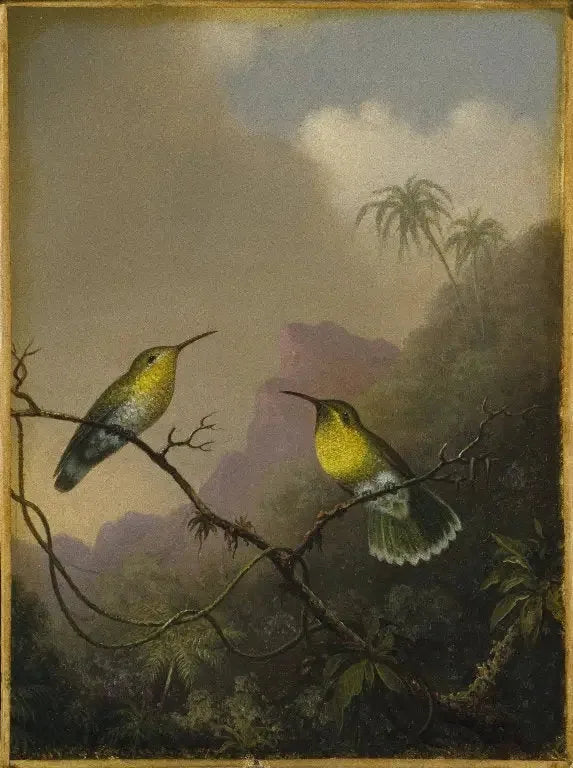 Kaksi kolibrista: kuparinvärinen amazili - Martin Johnson Heade