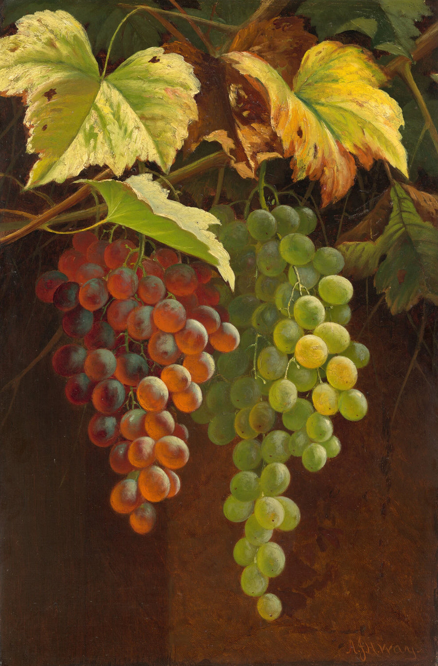 Deux grappes de raisins - Andrew John Henry Way