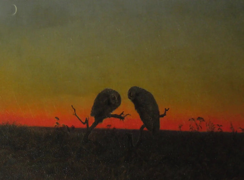 Kaksi pöllöä auringonlaskussa - Martin Johnson Heade