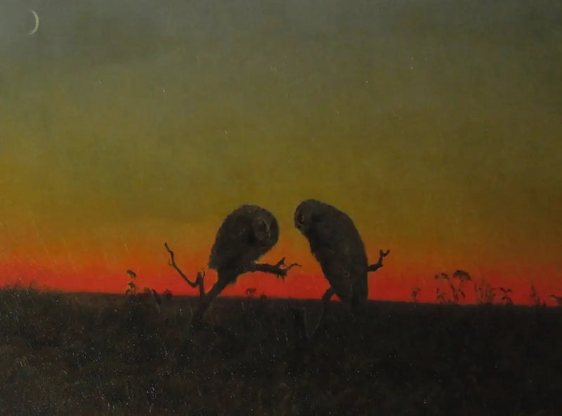Kaksi pöllöä auringonlaskussa - Martin Johnson Heade