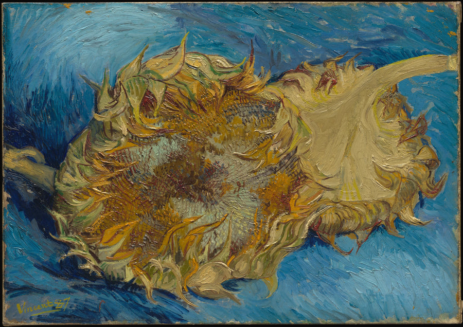Kaksi Auringonkukkaa - Vincent van Gogh