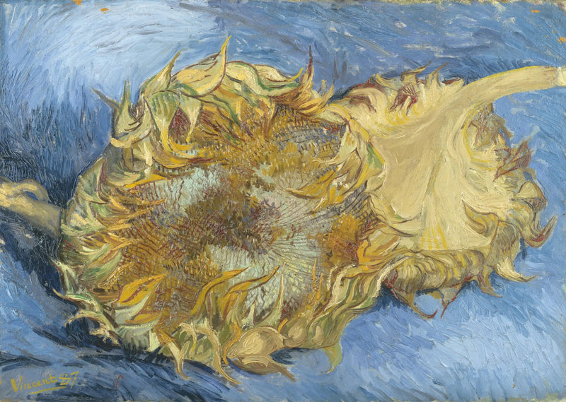 Kaksi Auringonkukkaa - Vincent van Gogh