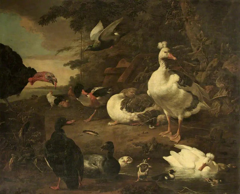 Ankka, hanhia, Belonin tadorne ja muita lintuja, maisemassa joen kanssa - Melchior de Hondecoeter