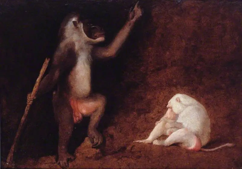 Pora ja albiinobabooni - George Stubbs