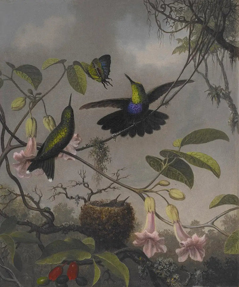 Dryadi, jossa on haarautuva häntä - Martin Johnson Heade