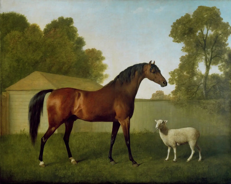 Dungannon, omistuksessa kolonel O'Kelly, maalattu pihalla lampaalla - George Stubbs