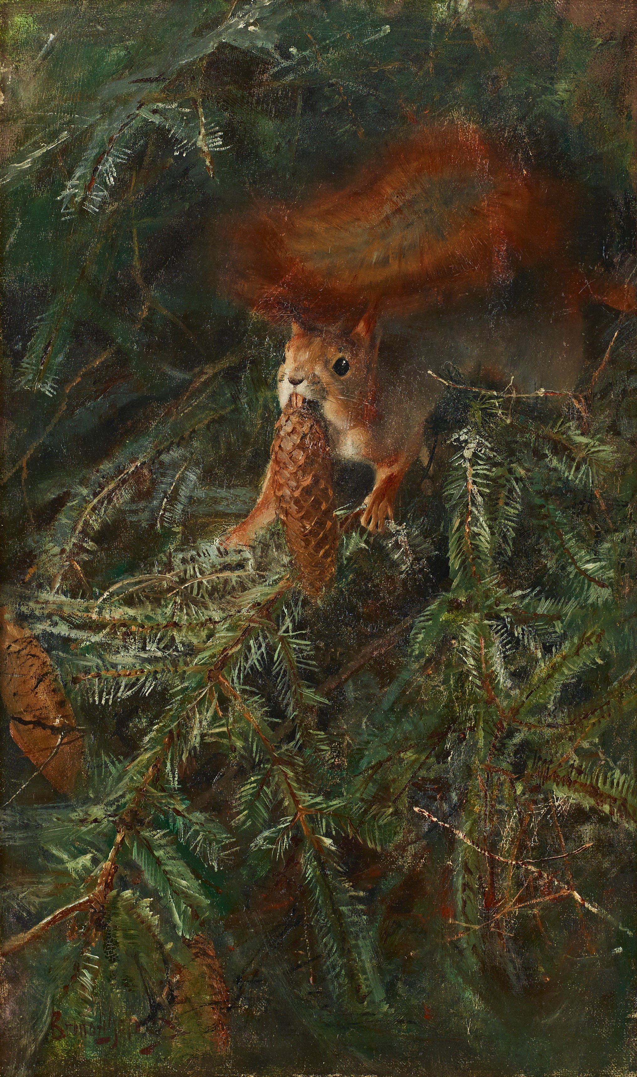 Orava - Bruno Liljefors